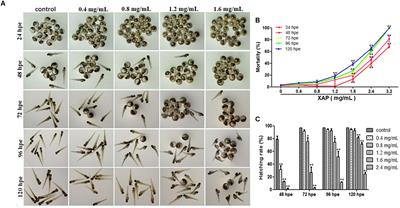 Xiaoaiping Induces Developmental Toxicity in Zebrafish Embryos Through Activation of ER Stress, Apoptosis and the Wnt Pathway